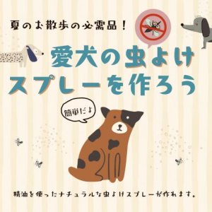 画像1: 愛犬の虫よけスプレーを作ろう！